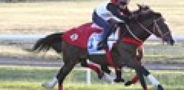 Vet checks on Bande and The Offer
