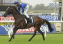 The Offer set to run in Caulfield Cup