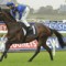 The Offer set to run in Caulfield Cup