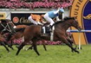 Admire Rakti wins Caulfield Cup