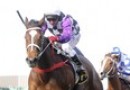 Amicus and Maastricht to paddock