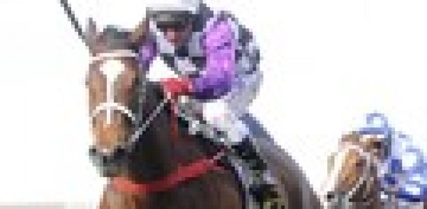 Amicus and Maastricht to paddock