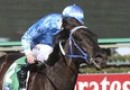 No Cox Plate late entry for Fontein Ruby