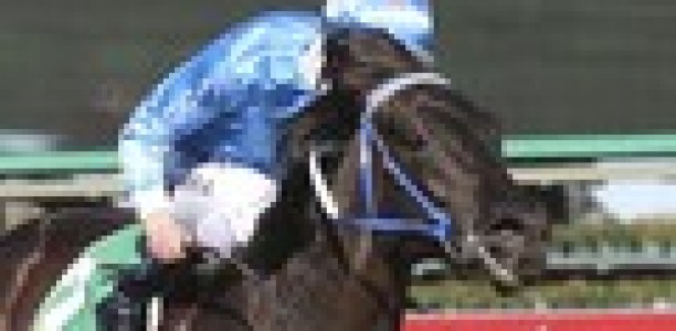 No Cox Plate late entry for Fontein Ruby