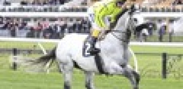 Crackerjack King out of Cox Plate