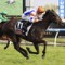 McEvoy sends The Messina Nymph to Flemington