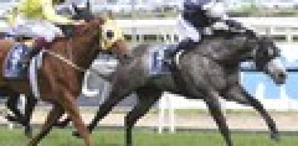 Fawkner draws “perfect” gate for Cox Plate