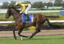 Bel Sprinter to Perth for Winterbottom