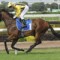 Bel Sprinter to Perth for Winterbottom