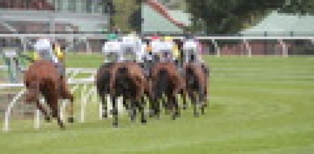 Melbourne Cup emergencies not on VRC radar