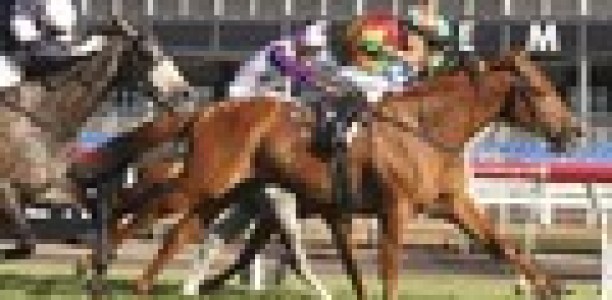 Just ‘one more sleep’ for Happy Trails and Beshara