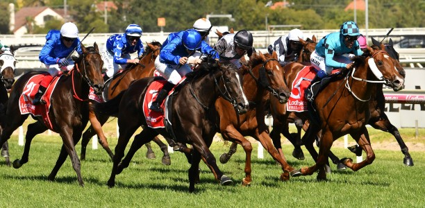 Thousand Guineas Prelude Field – 2019