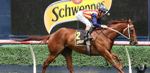 Punters concerned about comments on Moir Stakes favourite