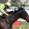 Self Sense ready to fire at Mornington