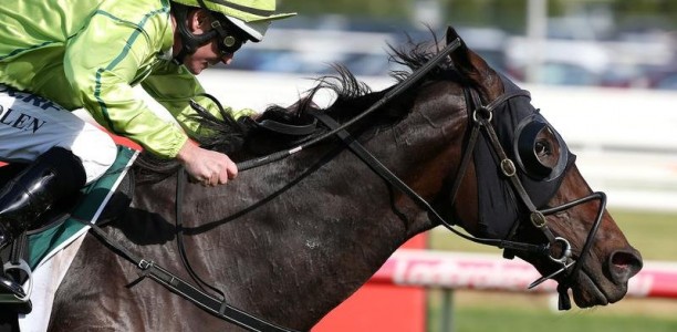 Self Sense ready to fire at Mornington