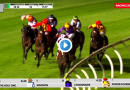 Stutt Stakes results and replay – 2019