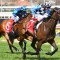 Prophet’s Thumb races to Caulfield victory
