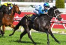 Acting wins Thousand Guineas Prelude