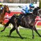 Acting wins Thousand Guineas Prelude