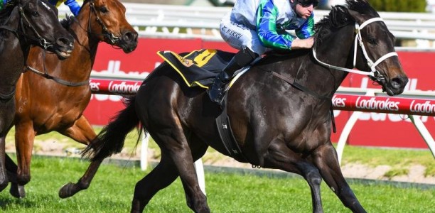 Acting wins Thousand Guineas Prelude