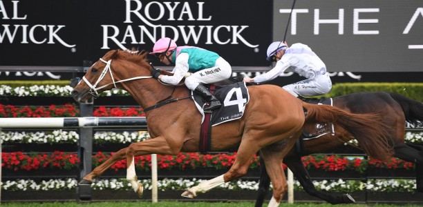 Big list of horses chasing 2019 Melbourne Cup spot
