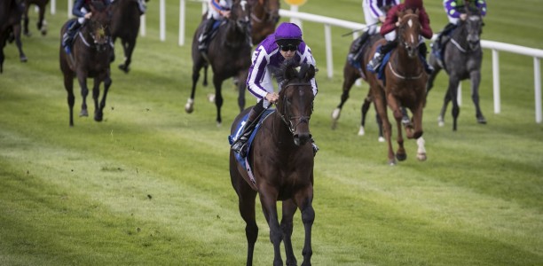 Ten Sovereigns steps out ahead of the $14 million Everest