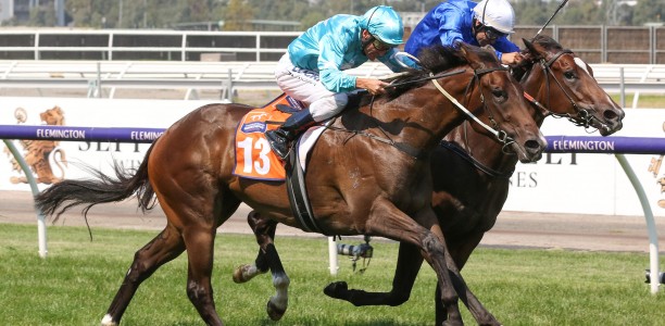 Cox Plate option kept open for filly Flit