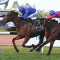 Alizee’s odds shorten for The Everest