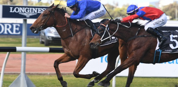 Alizee’s odds shorten for The Everest