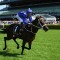 Winx named Horse of year for fourth time