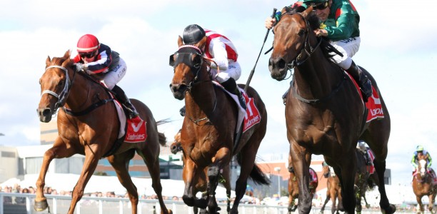 Caulfield Guineas plunge an emergency for bookies
