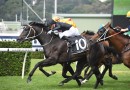 Fasika on track for rich $7.5m Golden Eagle