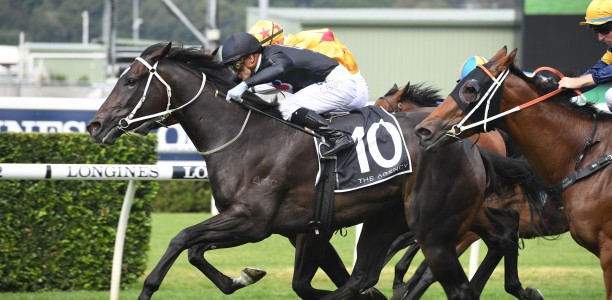 Fasika on track for rich $7.5m Golden Eagle