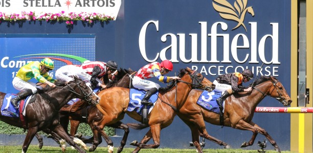 Rox The Castle wins the Weekend Hussler Stakes