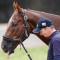 Caulfield Cup hope overcomes injury scare