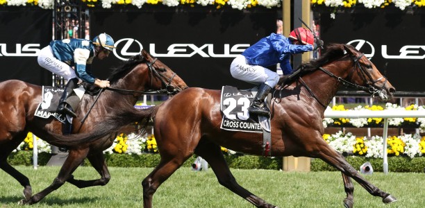 Cross Counter returns to defend Melbourne Cup