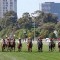 Racing Victoria posts surplus for last financial year