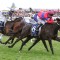 Verry Elleegant given thumbs-up for Cox Plate