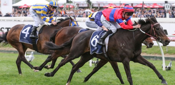 Verry Elleegant given thumbs-up for Cox Plate