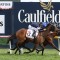 Ben Melham confident ahead of Caulfield Cup