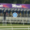 Watch: Windstorm shows devastating turn of foot at Ascot