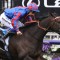 Caulfield Cup 2019 – A Look At The International Horses