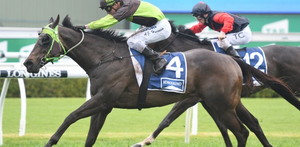 The Kosciuszko – What you need to know
