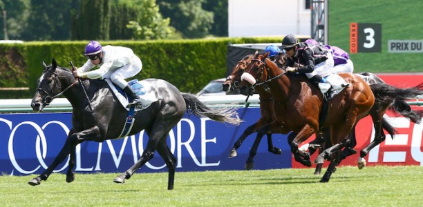 Caulfield Cup emergency on standby