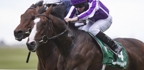 Punters plunge on Caulfield Cup import