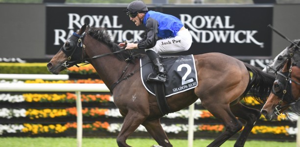 Shadow Hero on target for Victoria Derby