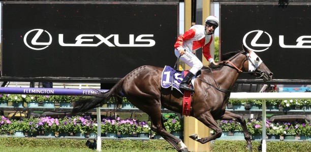 Likely Cox Plate Field – 2019