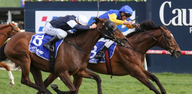 $200,000 gamble on the Cox Plate