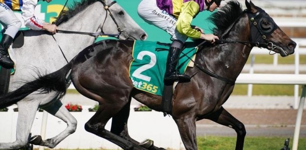 Long Jack gets Derby shot with Geelong win