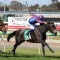 Prince Of Arran given Melbourne Cup penalty